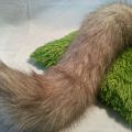 Realistic Wolf Tail